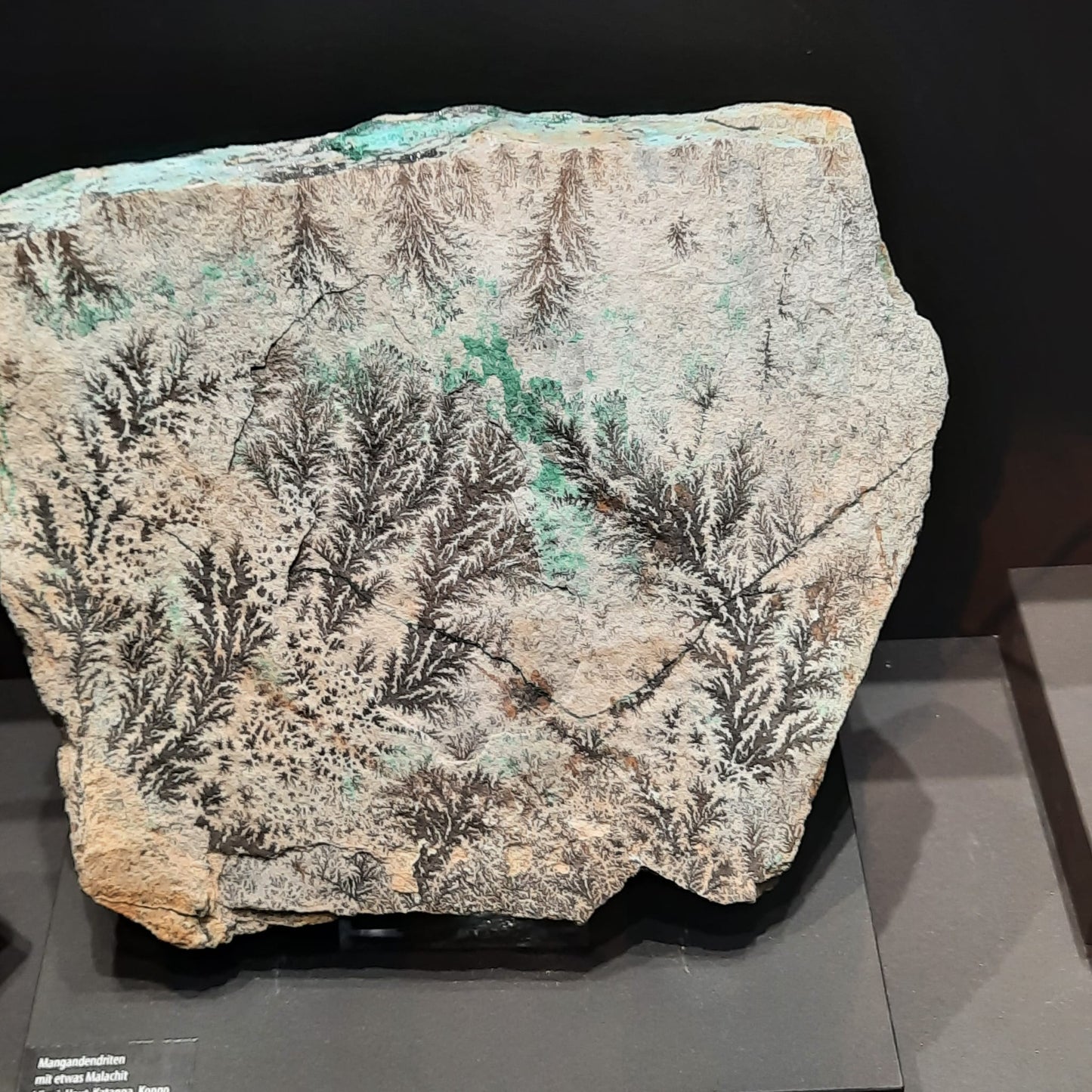 Quarzkristall Mineralien Fossilien