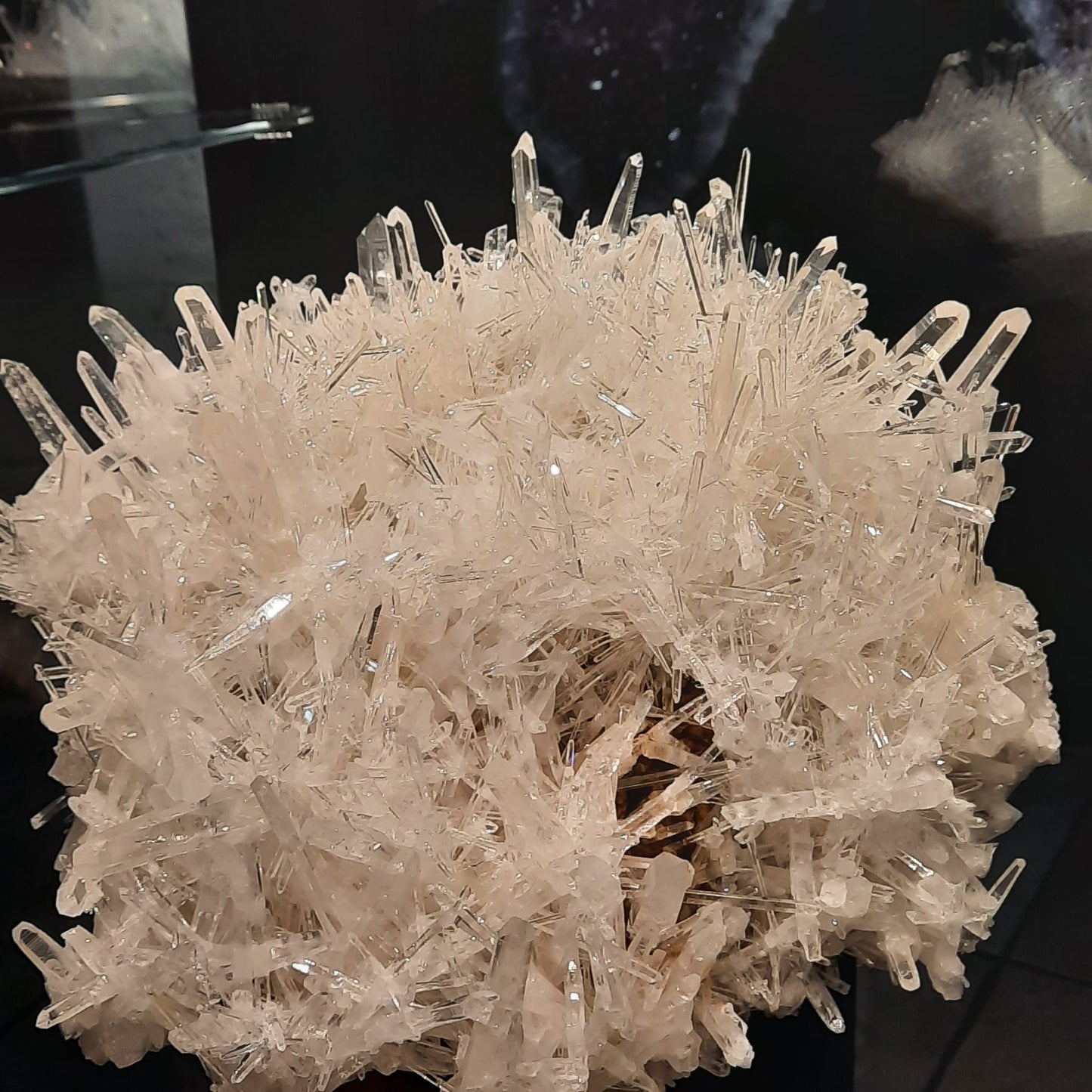 Quarzkristall Mineralien Fossilien