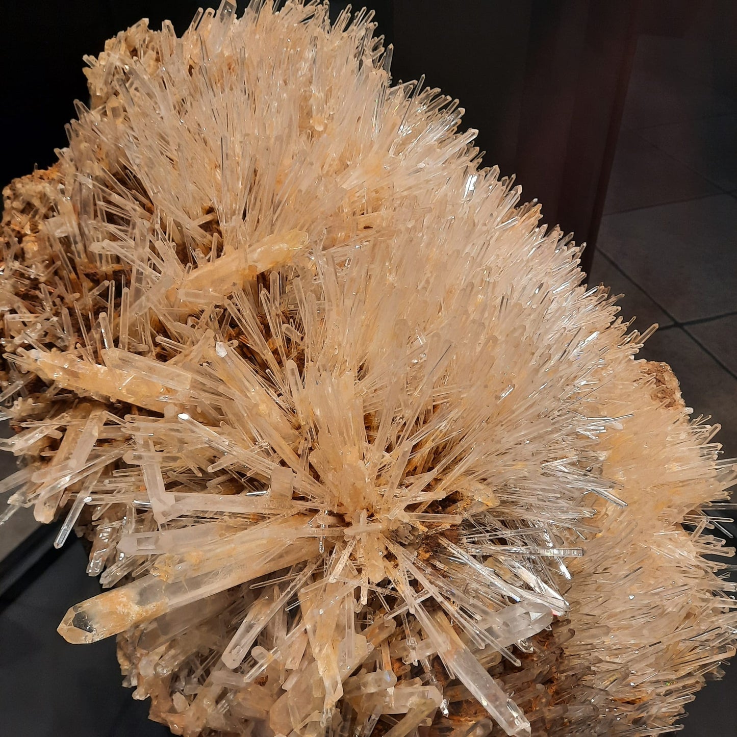 Quarzkristall Mineralien Fossilien