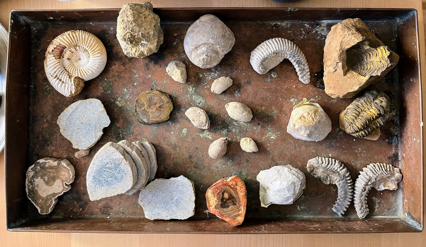 Quarzkristall Mineralien Fossilien