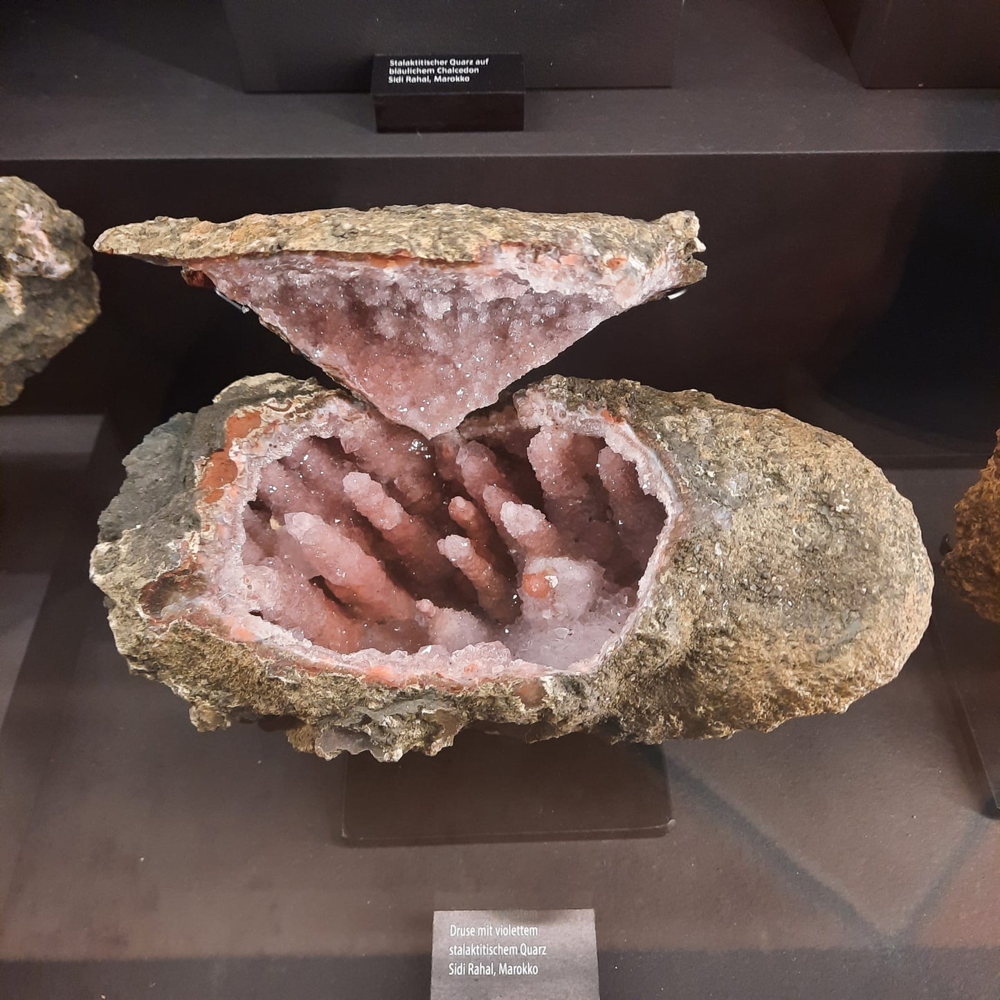 Quarzkristall Mineralien Fossilien