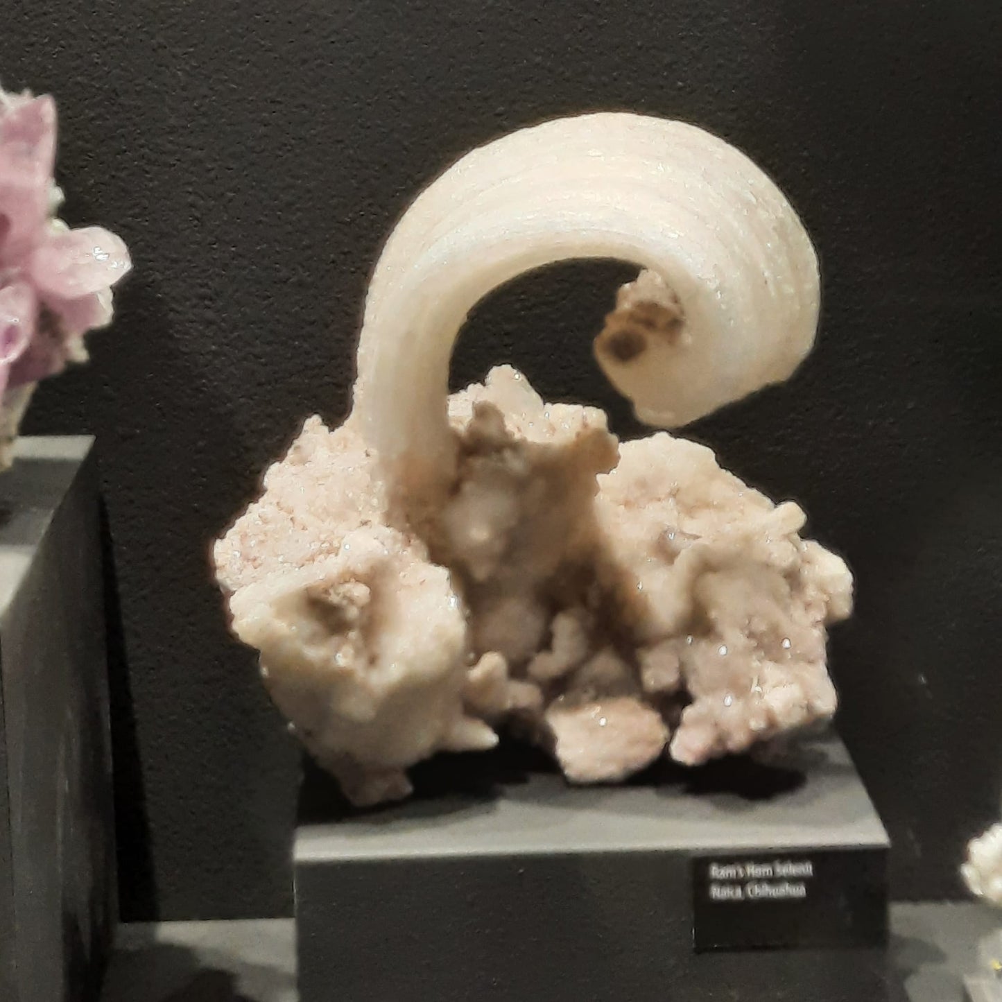 Quarzkristall Mineralien Fossilien