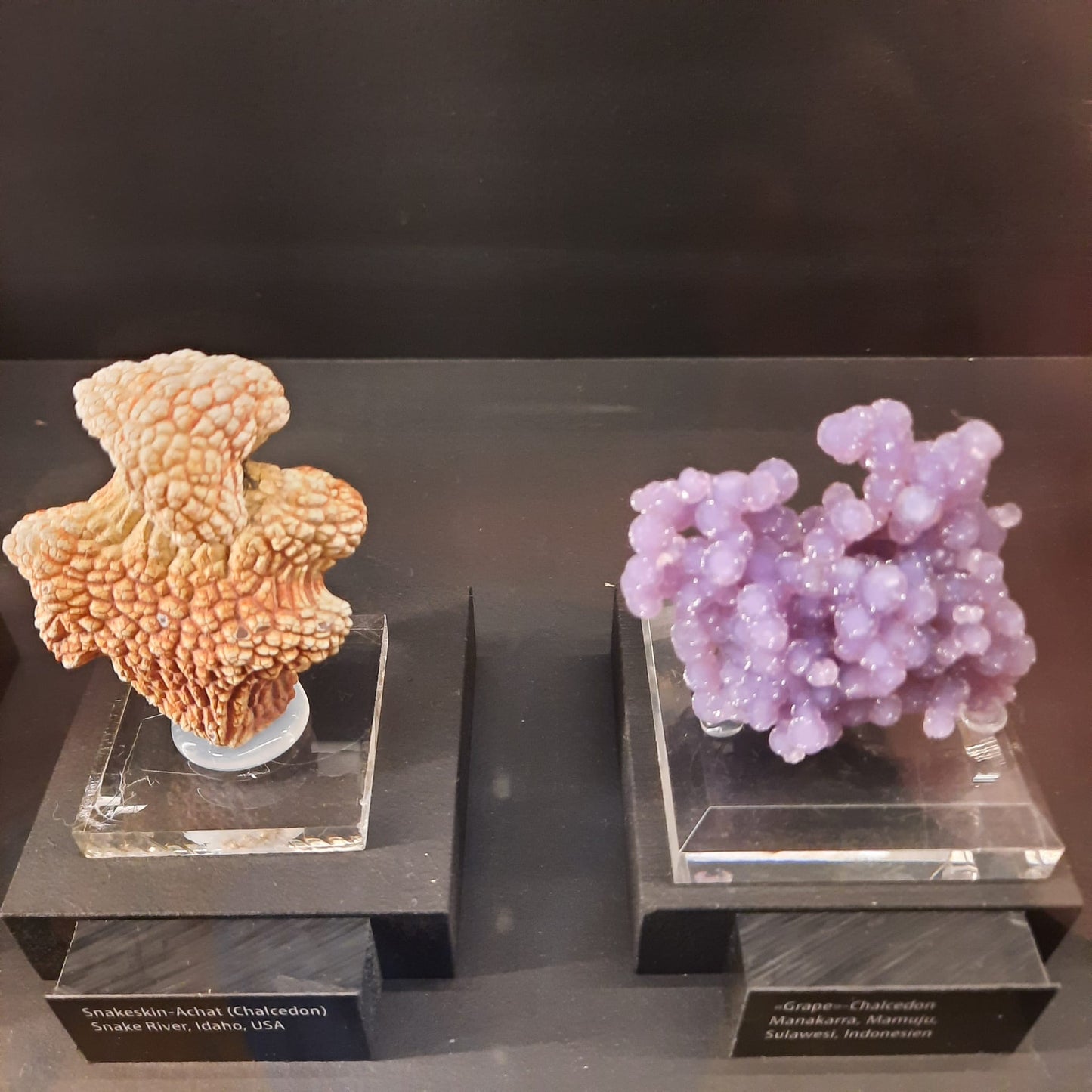 Quarzkristall Mineralien Fossilien